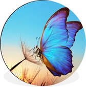 WallCircle - Cercle Mural - Cercle Mural - Papillon - Pissenlit - Blauw - Aluminium - Dibond - 140x140 cm - Intérieur et Extérieur