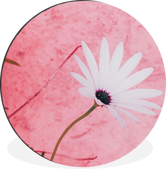 WallCircle - Wandcirkel - Muurcirkel - Bloemen - Roze - Vintage - Aluminium - Dibond - ⌀ 90 cm - Binnen en Buiten