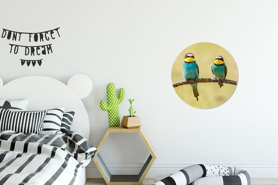 WallCircle - Cercle Mural - Cercle Mural - Vogels - Animaux - Guêpier - Aluminium - Dibond - 30x30 cm - Intérieur et Extérieur