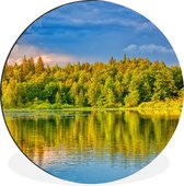 WallCircle - Wandcirkel - Muurcirkel - Water - Natuur - Bos - Aluminium - Dibond - ⌀ 90 cm - Binnen en Buiten