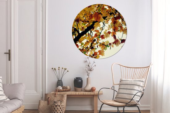 WallCircle - Wall Circle - Wall Circle Indoor - Arbres - Feuilles d'Automne - Nature - 120x120 cm - Décoration murale - Peintures Ronds XXL