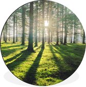 WallCircle - Cercle Mural - Cercle Mural - Arbres - Nature - Forêt - Aluminium - Dibond - 30x30 cm - Intérieur et Extérieur