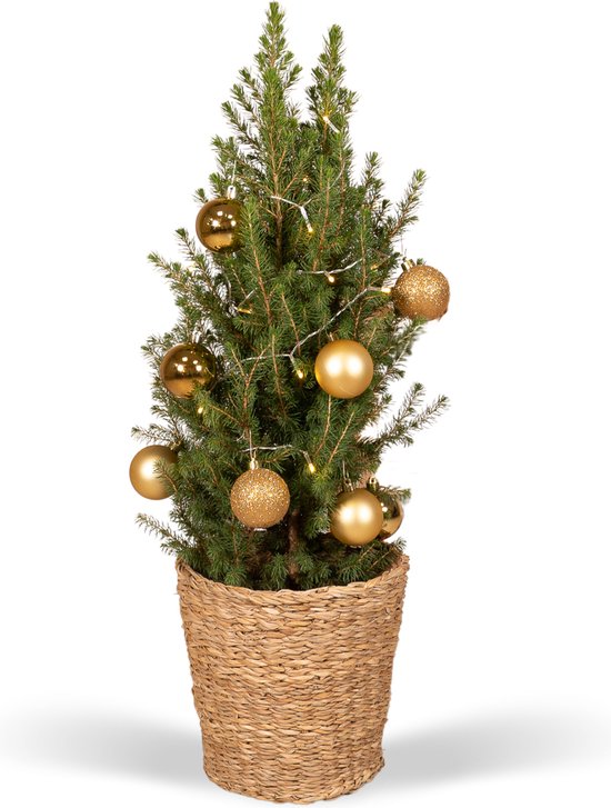 Kerstboompiek met 30 Micro Led Timer 2/ass 30x6x32cm
