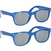 Hippe feest zonnebril met blauw montuur - 2x stuks - kunststof voor volwassenen