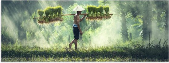 WallClassics - Affiche Brillante - Fermier Asiatique Travaillant - Photo 90x30 cm sur Papier Affiche avec Finition Brillante