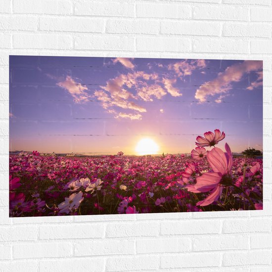 WallClassics - Muursticker - Veld Roze Bloemen met Paarse Lucht - 105x70 cm Foto op Muursticker