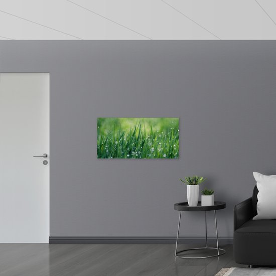 WallClassics - Poster (Matte) - Gouttes d'eau sur l'herbe - 100x50 cm Photo sur Papier Poster avec un Aspect Mat