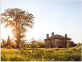 WallClassics - Poster Glossy - Bâtiment Abandonné près d'un Arbre - 40x30 cm Photo sur Papier Poster avec Finition Brillante