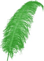 Plume - Vert - Spadonis - Piet - 50cm