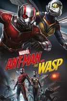 Ant-Man and the Wasp Dynamic Duo Maxi Poster 61x91.5 cm