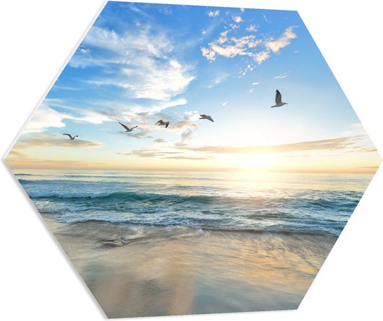 WallClassics - PVC Schuimplaat Hexagon  - Meeuwen boven het Strand en Zee - 80x69.6 cm Foto op Hexagon (Met Ophangsysteem)