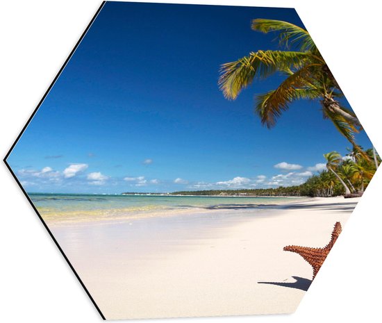 WallClassics - Dibond Hexagon - Zeester op een Tropisch Strand - 50x43.5 cm Foto op Hexagon (Met Ophangsysteem)