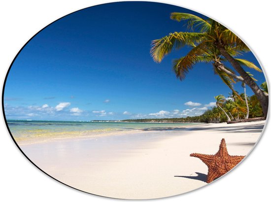 WallClassics - Dibond Ovaal - Zeester op een Tropisch Strand - 40x30 cm Foto op Ovaal (Met Ophangsysteem)
