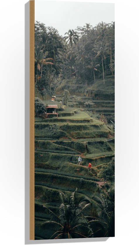 WallClassics - Hout - Landbouwvelden in Bali - 30x90 cm - 12 mm dik - Foto op Hout (Met Ophangsysteem)