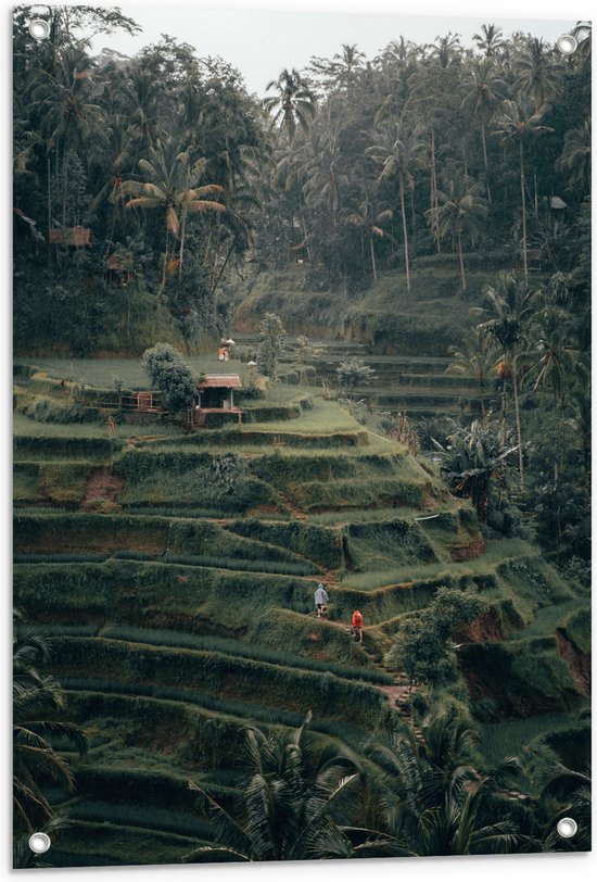 WallClassics - Tuinposter – Landbouwvelden in Bali - 60x80 cm Foto op Tuinposter  (wanddecoratie voor buiten en binnen)