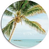 WallClassics - Dibond Muurcirkel - Palmboom op Wit Strand - 50x50 cm Foto op Aluminium Muurcirkel (met ophangsysteem)