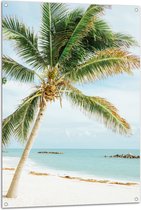 WallClassics - Tuinposter – Palmboom op Wit Strand - 80x120 cm Foto op Tuinposter  (wanddecoratie voor buiten en binnen)
