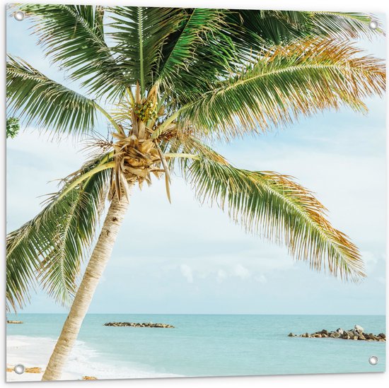 WallClassics - Tuinposter – Palmboom op Wit Strand - 80x80 cm Foto op Tuinposter  (wanddecoratie voor buiten en binnen)