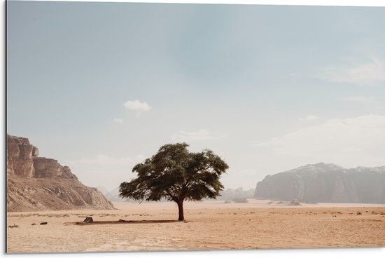 WallClassics - Dibond - Eenzame Boom in Woestijn - 75x50 cm Foto op Aluminium (Met Ophangsysteem)