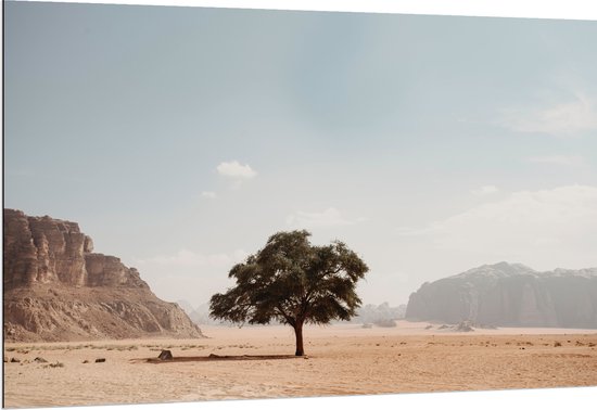 WallClassics - Dibond - Eenzame Boom in Woestijn - 150x100 cm Foto op Aluminium (Wanddecoratie van metaal)