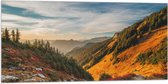 WallClassics - Vlag - North Cascades National Park - 100x50 cm Foto op Polyester Vlag