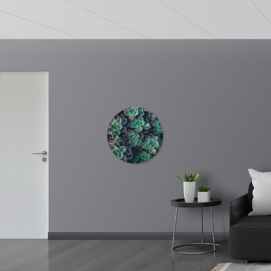WallClassics - Muursticker Cirkel - Echeveria Groene Plant - 70x70 cm Foto op Muursticker