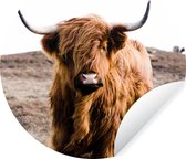 WallCircle - Behangcirkel - Dieren - Schotse hooglander - Natuur - Koeien - Zelfklevend behang - Behangcirkel zelfklevend - 50x50 cm - Behangsticker - Wanddecoratie cirkel - Woonkamer