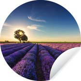 WallCircle - Behangcirkel - Lavendel - Bloemen - Boom - Zon - Landschap - Behangcirkel bloemen - Behangcirkel zelfklevend - Zelfklevend behang - 140x140 cm - Cirkel behang - Behang rond