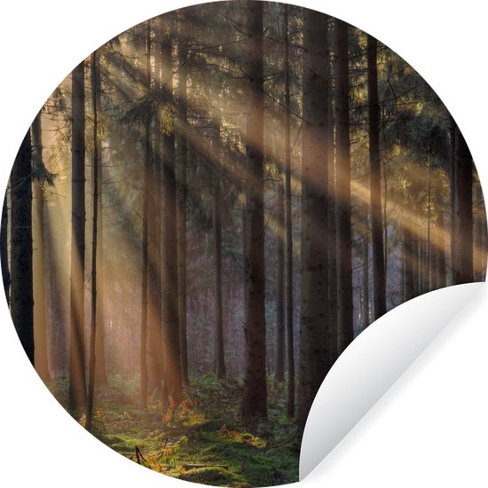 Papier peint cercle - Papier peint autocollant - Mur cercle auto-adhésif - Lumière du soleil - Herbe - Vert - Papier peint cercle nature - 80x80 cm - Décoration murale ronde - Papier peint cercle