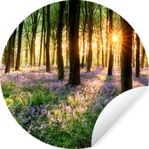 Behangcirkel - Behangsticker - Bos - Natuur - Bloemen - Zon - Ronde wanddecoratie - Rond behang - Woonkamer decoratie - Slaapkamer - 80x80 cm - Zelfklevend behang - Muurcirkel binnen