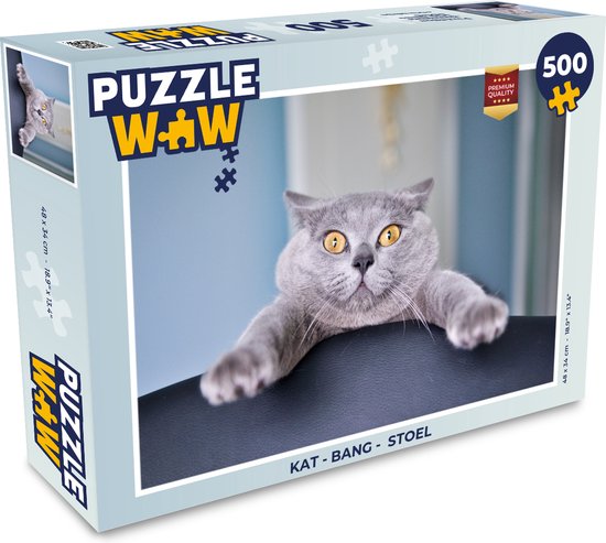 Puzzel Kat - Bang - Stoel - Legpuzzel - Puzzel 500 stukjes | bol.com