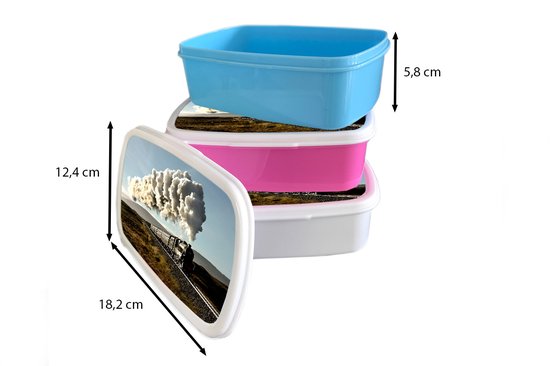 Broodtrommel Blauw - Lunchbox - Brooddoos - Een stoomtrein over een brug met het groene landschap - 18x12x6 cm - Kinderen - Jongen