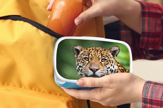 Boîte à lunch Blauw - Boîte à lunch - Boîte à lunch - Léopard - Nature - Tacheté - 18x12x6 cm - Enfants - Garçon - Cadeau Sinterklaas - Distribution de cadeaux pour enfants - Cadeaux chaussures Sinterklaas