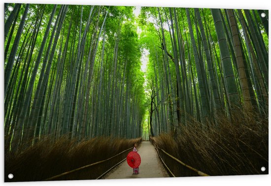 WallClassics - Tuinposter – Bamboe Bomen met Japanse Paraplu - 120x80 cm Foto op Tuinposter  (wanddecoratie voor buiten en binnen)