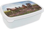 Broodtrommel Wit - Lunchbox Paarden - Bloemen - Roze - Brooddoos 18x12x6 cm - Brood lunch box - Broodtrommels voor kinderen en volwassenen