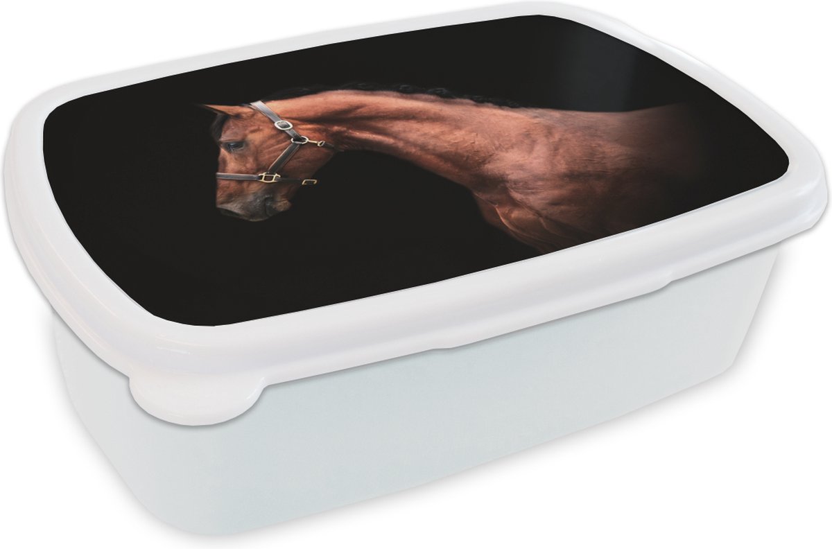 Broodtrommel Wit - Lunchbox - Brooddoos - Paard - Licht - Halster - 18x12x6 cm - Volwassenen