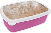 Broodtrommel Roze - Lunchbox - Brooddoos - Graan - Pastel - Stilleven - 18x12x6 cm - Kinderen - Meisje