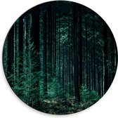 WallClassics - Dibond Muurcirkel - Donker Bos - 30x30 cm Foto op Aluminium Muurcirkel (met ophangsysteem)