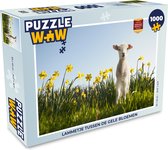 Puzzel Lammetje tussen de gele bloemen - Legpuzzel - Puzzel 1000 stukjes volwassenen