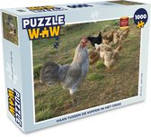 Puzzel Haan tussen de kippen in het gras - Legpuzzel - Puzzel 1000 stukjes volwassenen