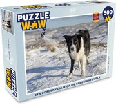 Puzzel Een border collie op de sneeuwheuvels - Legpuzzel - Puzzel 500 stukjes