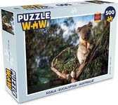 Puzzel Koala - Eucalyptus - Australië - Legpuzzel - Puzzel 500 stukjes