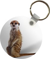 Sleutelhanger - Stokstaartje - Dieren - Vacht - Plastic - Rond - Uitdeelcadeautjes