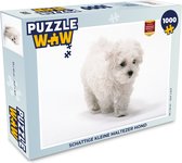Puzzel Schattige kleine Maltezer hond - Legpuzzel - Puzzel 1000 stukjes volwassenen