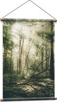 WallClassics - Affiche textile - Forêt céleste - 60x90 cm Photo sur textile