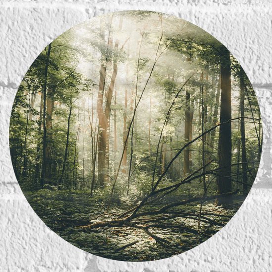 WallClassics - Muursticker Cirkel - Hemelachtig Bos - 20x20 cm Foto op Muursticker