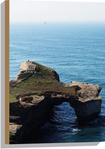 WallClassics - Hout - Rots met Groen in Oceaan - 40x60 cm - 12 mm dik - Foto op Hout (Met Ophangsysteem)