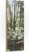 WallClassics - Hout - Grote Groene Varenplant in Bos - 40x120 cm - 12 mm dik - Foto op Hout (Met Ophangsysteem)