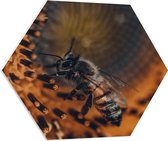 WallClassics - PVC Schuimplaat Hexagon  - Close-up Honingbij op een Bloem - 70x60.9 cm Foto op Hexagon (Met Ophangsysteem)