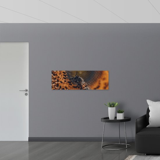 WallClassics - Plaque en Mousse PVC - Gros plan Abeille sur une Bloem - Photo 120x40 cm sur Plaque en Mousse PVC (Avec Système d'accrochage)